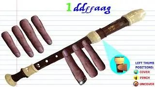 How to Play  Sound of Silence on the Recorder
