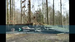 Der Schweineberg