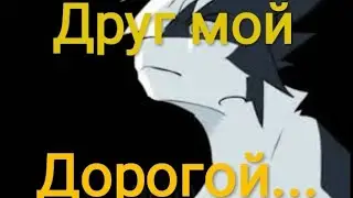 || Коты Воители|| "Друг мой дорогой"