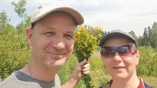 Our Hot Summer Days 2024 in Russia / Collection of Forest Herbs