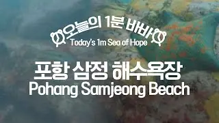 [#오늘의1분바바] 바다 씨와 함께 떠나는 포항 삼정 해수욕장🌊 l #Shorts