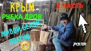 Как я в Крыму дрова рубил.Полено. Колун в действии. Живой белок. Секрет от Egoza.  2 часть.