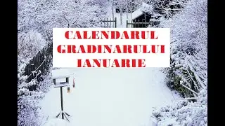 Gardener's Calendar for January 🌲🌿❄🌺