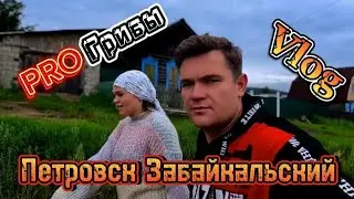 К ТАКОМУ Я БЫЛ НЕ ПОДГОТОВЛЕН!!!              По Грибы в Петровск Забайкальском. (Vlog)