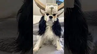 Приколы 2022 #прикол #ржач #рек #приколы2022