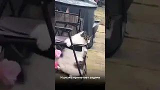#бизнес