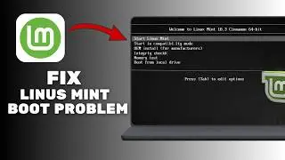 How To Fix Linux Mint Boot Problem