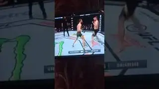 Хабиб выиграл.❤