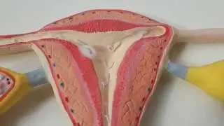 Sistema Reprodutor Feminino