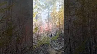 ЧС Муйский район.