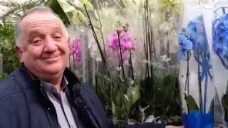 мужчины Галицыновской ОТО поздравили женщин с 8 марта