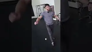 Жиза 