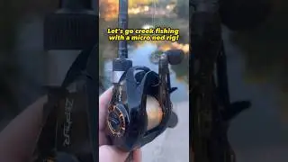 This MICRO Lure Catches EVERYTHING! #fishing