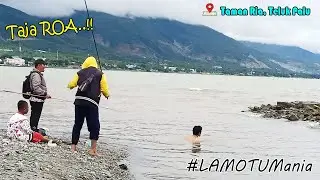 Mancing ikan LAMOTU [ Teluk Palu ]