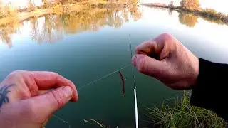 Ловим ХИЩНИКА на оснастку Дроп-Шот (Drop-Shot). Монтаж оснастки.