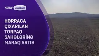 Hərraca çıxarılan torpaq sahələrinə maraq artıb