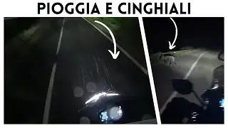 Ho partecipato alla MOTONOTTURNA: è andato tutto male 😂 ⛈️ 🐗