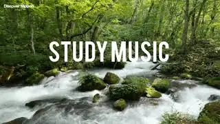 Focus Music for Work and Studying, Background Music for Concentration, Study Music For 40 minutes