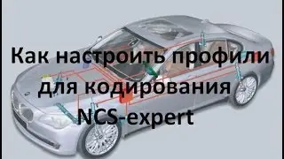 How to set up profiles for NCS-expert encoding\coding NCS expert