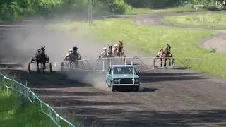 04.07.2020 г. 10-й заезд 4-х лет и ст.возраста