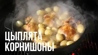 Цыплята корнишоны на гриле weber