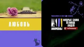 Афоризмы и цитаты о любви