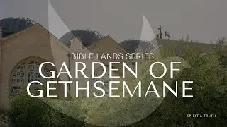 Garden Of Gethsemane - The Bible Lands Series: Touring Israel