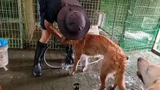 강산이 시~원 하지?