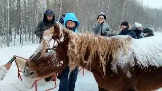 фильм туристы 2024 года