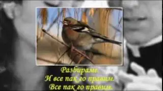The thorn birds