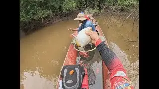 PALOMETAS POR DOQUIER! AVENTURA DE PESCA EN EL CAÑO SALADO.