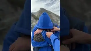 Мы любим котиков. Вы любите котиков. Все любят котиков.Мы выбираем доброту 🐾💙