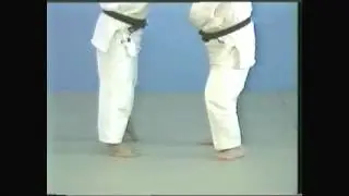 Yoko otoshi