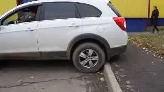 Каптива и бордюры