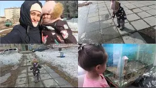 VLOG: ДНИ ДОМА😍НОВЫЕ РЫБКИ В АКВАРИУМЕ!🐟НАШИ ПРОГУЛКИ ВО ДВОРЕ!
