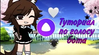 Туториал по голосу бота🍩❤