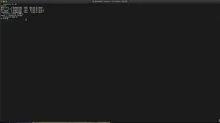 Terminal: Permission denied