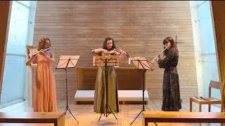 Trio Viva - Sisu by Francesco Marano