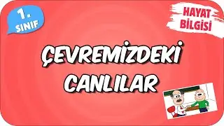 Çevremizdeki Canlılar 📕 1.Sınıf Hayat Bilgisi 