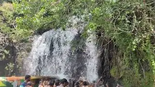 அகஸ்தியர் அருவி இன்று