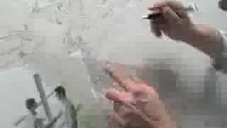 Time Lapse Drawing