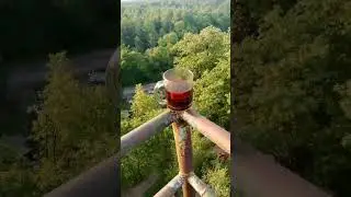 З чергової тимчасової зупинки ЗСУ