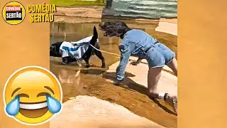 SE VOCÊ RIR, VOCÊ PERDE! Vídeos Engraçados 2024