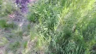 відпочинок