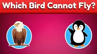 Fun Kids Quiz Questions & Answers!