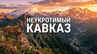 WILD CAUCASUS: Secrets of the Unconquerable Peaks | Documentary