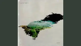 Resin