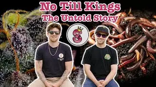 No Till Kings - The Untold Story (Documentary)