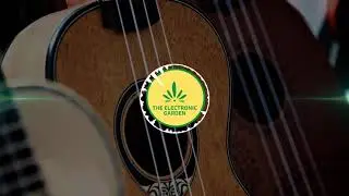 Happy Ukulele Music - Copyright Free Music | The Electronic Garden