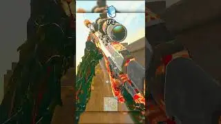 this MCW & HRM-9 Combo is the Rebirth META😍 Class at End